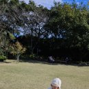 어린왕자민박 이미지