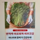 청춘셀프24 | 한돈삼겹살 김포 운양동맛집, 청춘고깃집 김포운양점-*