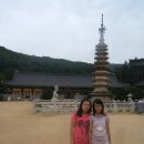 종화목장 이미지