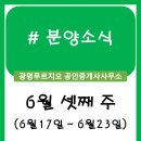 써밋&효성병점역부동산공인중개사사무소 | 분양정보 (6월 셋째 주)