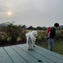 힐빙 인 제주 이미지