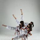 용인대범호태권도장 이미지