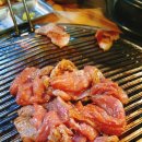 돼지연구소 이미지