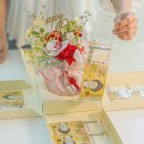 가행나무 이미지