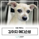 루아동물병원 이미지