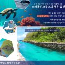 명도햇빛발전소 | 괌 에메랄드밸리 스노쿨링 낚시 | 스타 돌핀크루즈