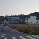 에듀삼성공인중개사사무소 이미지