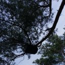 벌이네민박 이미지