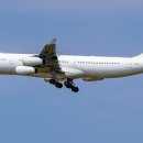 2002무도장 이미지