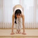 다이소 요가매트도 좋지만 나는 푹신한 두꺼운요가매트 20mm 끝판왕 아리프 와이드요가매트 찐 후기