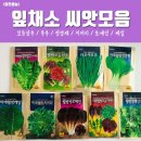 스마트종묘사 이미지