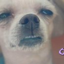 몽글몽글# 이미지