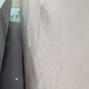 황령대로 이미지