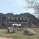 유채꽃프라자 티스토리