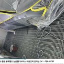 부적카정비 이미지