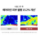까멜리아살롱