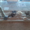 문화마당(1210) | 카페 수월경화&amp;부산역 빈티지 카페 초량 1941&amp;부산 영도 흰여울문화마을&amp;송도해수욕장&amp;자갈치 시장