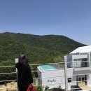 세인즈가든