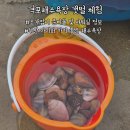 [부안] 소노벨 변산 격포해수욕장 갯벌 체험 (조개잡이 준비물&amp;샤워실)