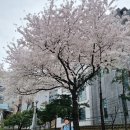 창의&논리 영재수학(A) | [공지] 교육청 영재교육원 다시 시작 + 선발 정보 총정리 (수학분야)