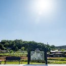 세동2통경로당 네이버블로그