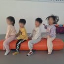 세종체육도장 이미지