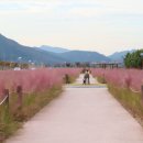 낙동강변 축구장 2 이미지