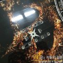 서박사카센타