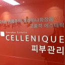 과천뿌리깊은나무학원