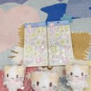 마슈 | (짐패스후기) 스핀스 마슈 수주 직구
