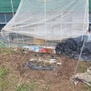 고모농장 이미지