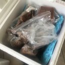 마이펫미트 이미지