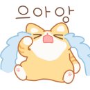 달보드레/루체레 네이버블로그