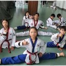 기품있는 태권도장 이미지