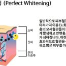 아름다운미의원 이미지