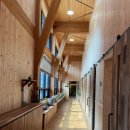 다도숲 | [리뷰] 삼척활기치유의숲 다도체험, 족욕체험 후기, 가족여행 추천(힐링 그 잡채)