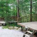 숲속의야영장 이미지