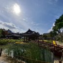 강원감영관찰사박물관 | 원주 지금 여행 가볼만한곳 / 강원감영 &amp; 국화와 가을꽃 전시회