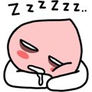 막내사 이미지