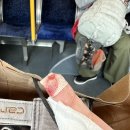 월드컵북로 221 자전거대여소 옆 | 밴쿠버 워홀 56일차 | 스탠리 파크에서 자전거 타기, 가스타운 맛집 Di beppe, 프로 이사러의 월말은 늘...