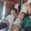 화순적벽 버스투어(적벽투어) | 화순 역사문화 탐방 : 화순적벽 버스투어 아이랑 여행 개미산전망대 만연산 치유의 숲