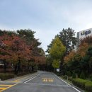 이화여자대학교병설미디어고등학교 | 이화입학콘서트를 가다(이화여대병설미디어고등학교)