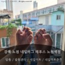 츠키네일 | 강북 노원 네일러그 레푸스 노원역점 발톱관리 / 네일아트 후기