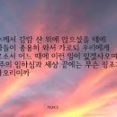 김종원: 마태복음의 하늘의 천체가 흔들림과 요한계시록의 천체계 징조. 마24:29, 계6:12-14 이미지