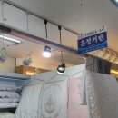 은정커텐 이미지