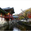 순천-59호 이미지