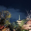 도지 | 교토 도지 라이트업 후기 입장료 시간 가는 방법 - 12월 6일 방문