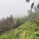 진달래아파트경로당_1 | 등산일지 31 : (산악회 매월매산) 밀양 종남산 우중산행 팔각정 진달래 군락지 코스