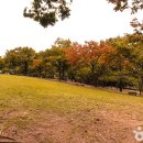 큰고개로 이미지