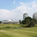 크리스탈 골프클럽 이미지